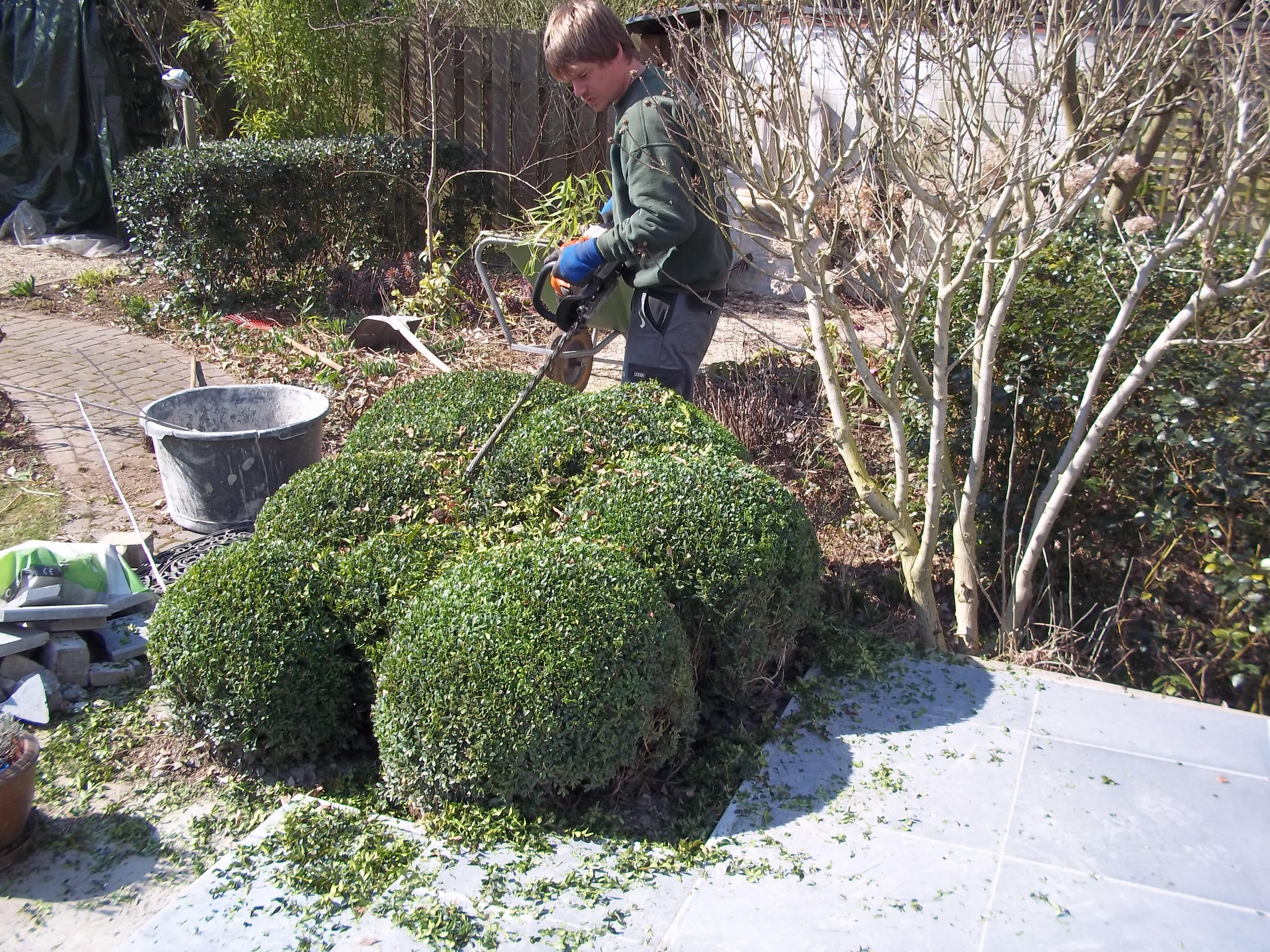 tuinarchitecten Hamme (O.-Vl.) | Advance Greencare