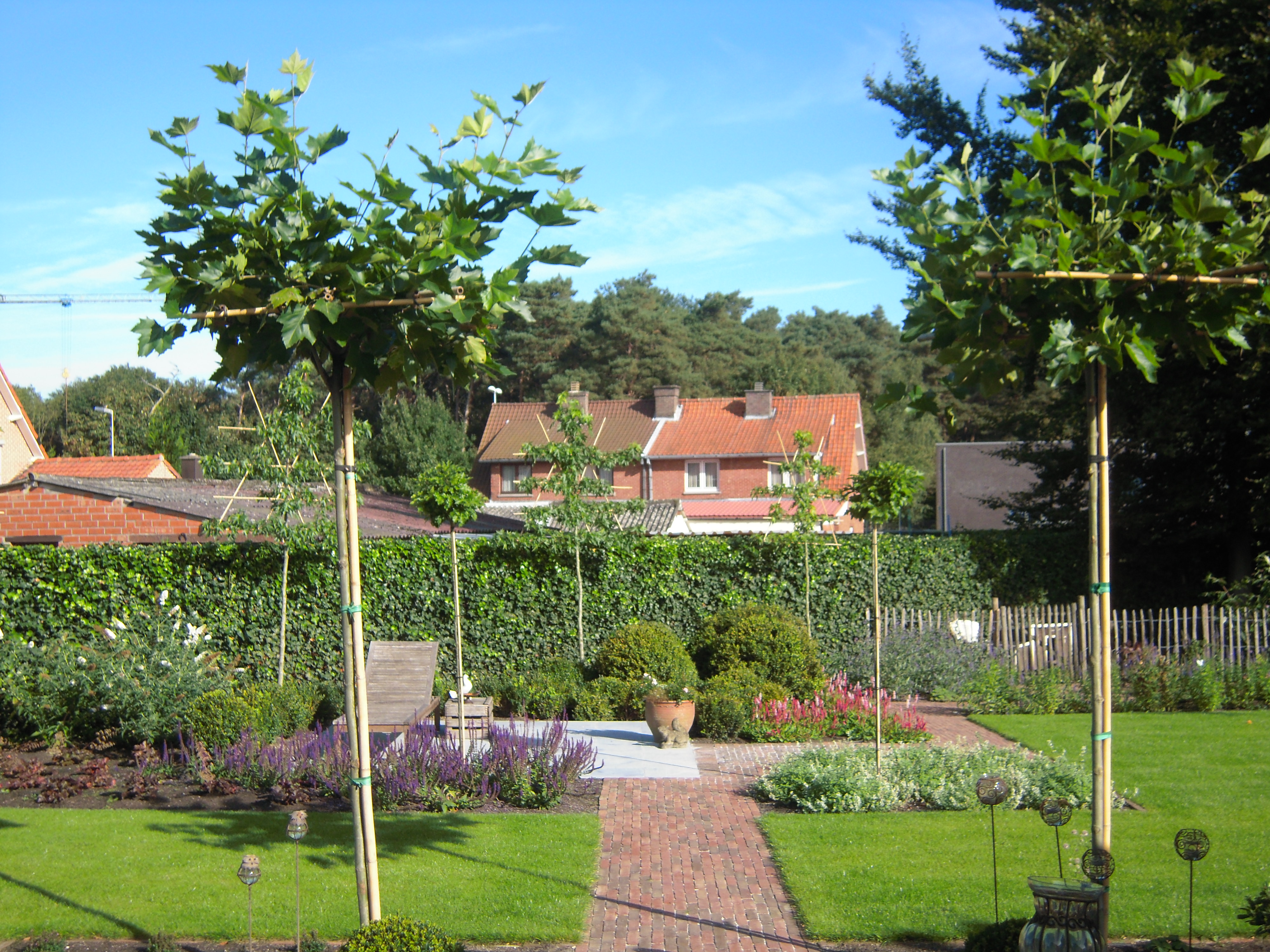 tuinarchitecten Zonhoven | CVT tuinarchitectuur